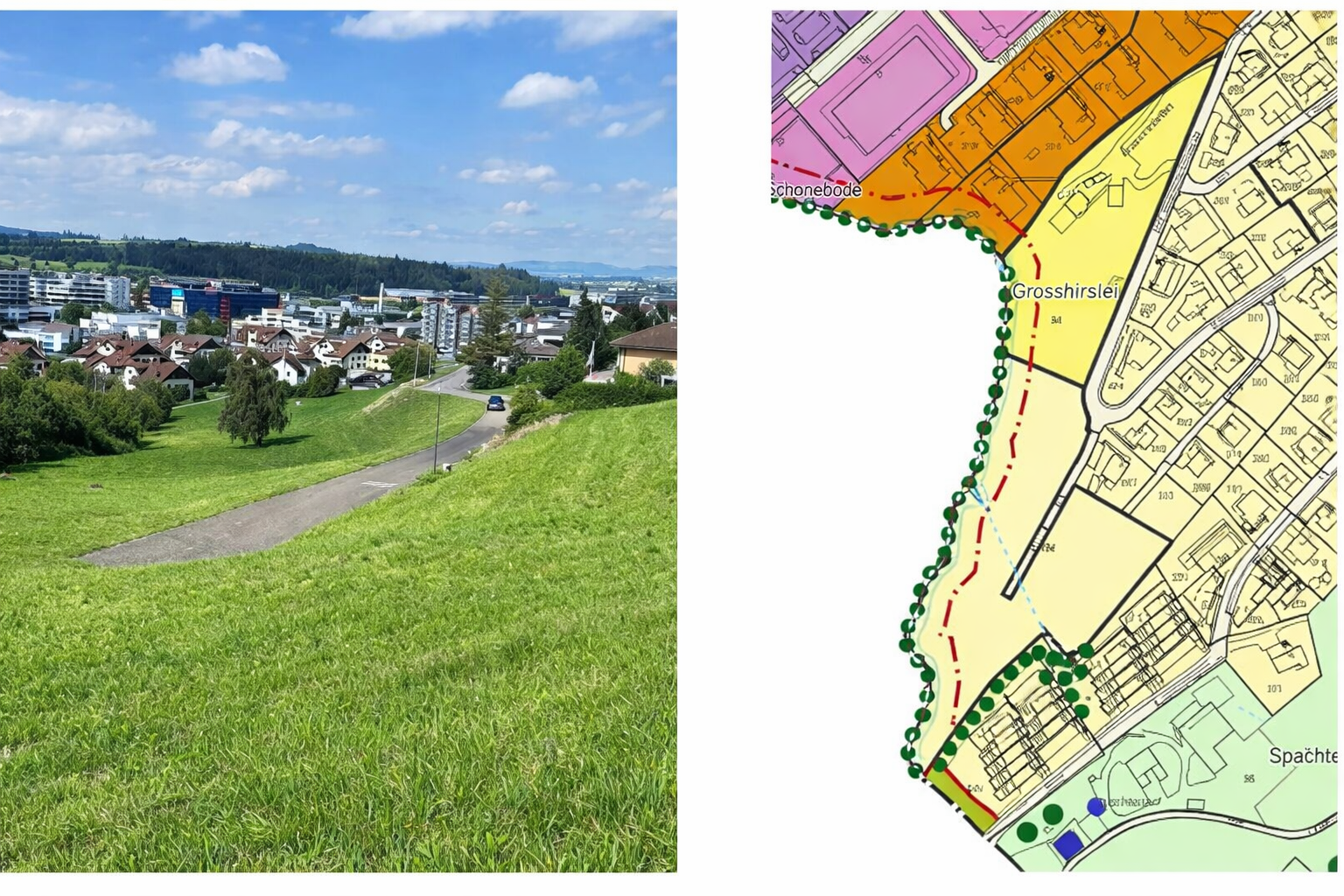 Grosshirsele, Dierikon