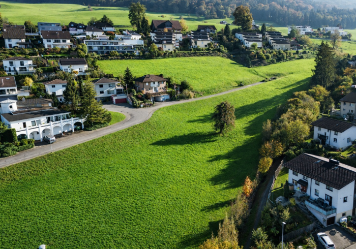 Bild: Grosshirsele Dierikon